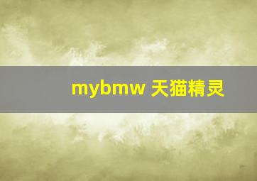 mybmw 天猫精灵